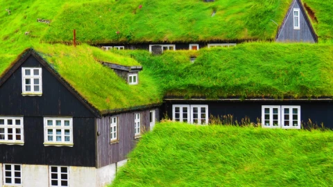 Zielone dachy