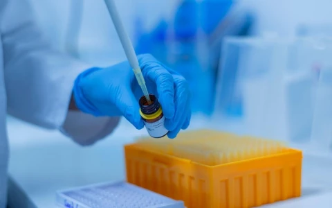 Wielkość rynku domieszek polikarboksylanowych do betonu w latach 2026-2033