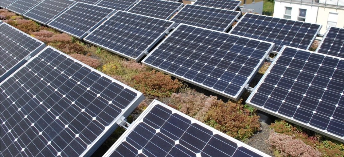 Dachy biosolarne