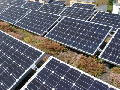 Dachy biosolarne