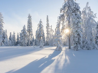 Śnieg na dachu – bezpieczne odśnieżanie